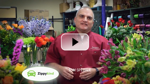 Testimonial from a happy customer